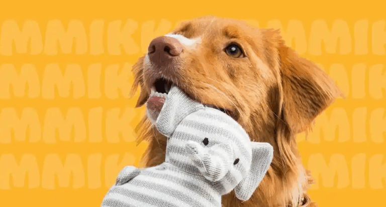 Traffic x Word of Mouth: How Pet Brands Can Achieve a Win-Win with Co-Branding